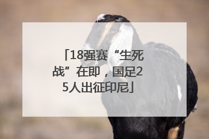 18强赛“生死战”在即，国足25人出征印尼