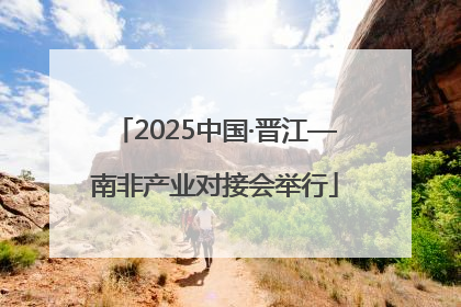 2025中国·晋江—南非产业对接会举行
