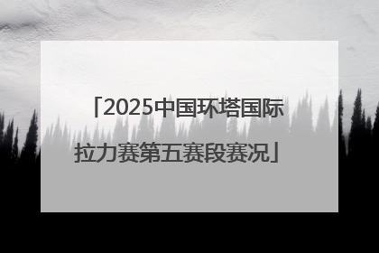 2025中国环塔国际拉力赛第五赛段赛况