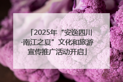 2025年“安逸四川·南江之夏”文化和旅游宣传推广活动开启