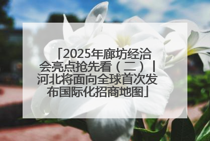 2025年廊坊经洽会亮点抢先看（二）丨河北将面向全球首次发布国际化招商地图