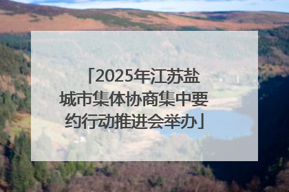 2025年江苏盐城市集体协商集中要约行动推进会举办