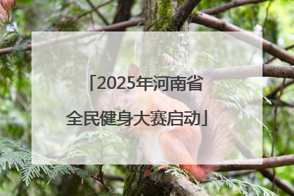 2025年河南省全民健身大赛启动
