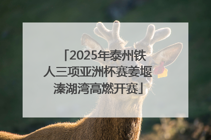 2025年泰州铁人三项亚洲杯赛姜堰溱湖湾高燃开赛