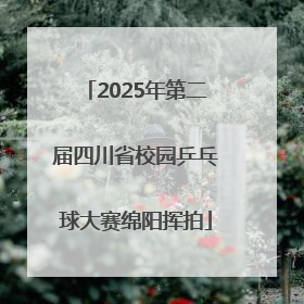 2025年第二届四川省校园乒乓球大赛绵阳挥拍