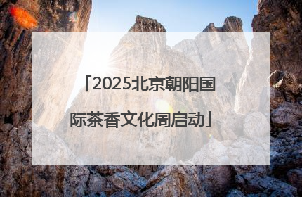 2025北京朝阳国际茶香文化周启动