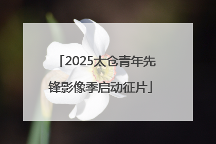 2025太仓青年先锋影像季启动征片