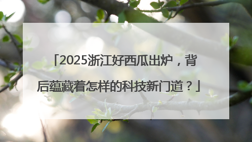 2025浙江好西瓜出炉，背后蕴藏着怎样的科技新门道？