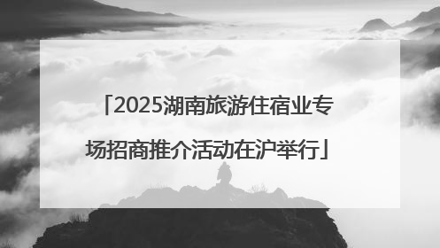 2025湖南旅游住宿业专场招商推介活动在沪举行