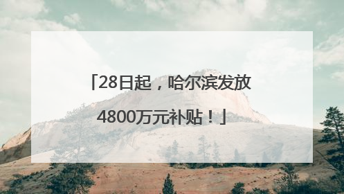 28日起，哈尔滨发放4800万元补贴！