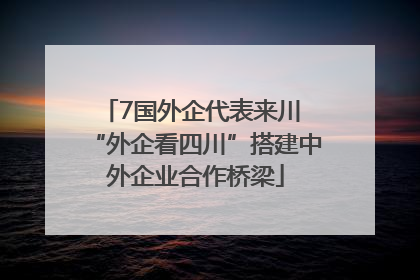 7国外企代表来川 “外企看四川”搭建中外企业合作桥梁