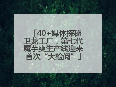 40+媒体探秘卫龙工厂，第七代魔芋爽生产线迎来首次“大检阅”