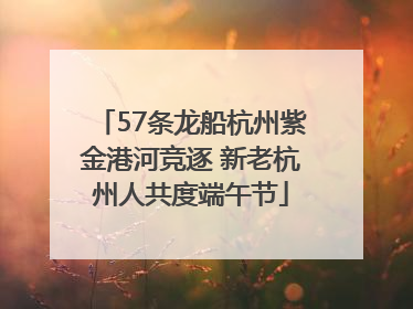 57条龙船杭州紫金港河竞逐 新老杭州人共度端午节