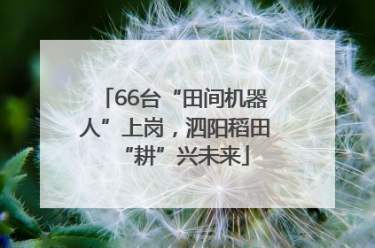 66台“田间机器人”上岗，泗阳稻田“耕”兴未来