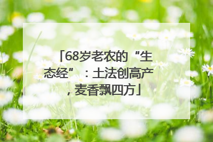 68岁老农的“生态经”：土法创高产，麦香飘四方