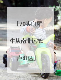70头白犀牛从南非运抵卢旺达