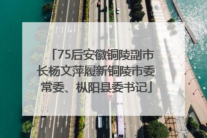 75后安徽铜陵副市长杨文萍履新铜陵市委常委、枞阳县委书记