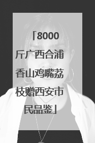 8000斤广西合浦香山鸡嘴荔枝赠西安市民品鉴