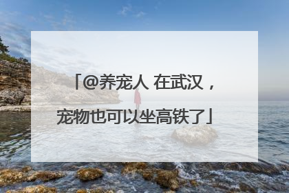 @养宠人 在武汉，宠物也可以坐高铁了