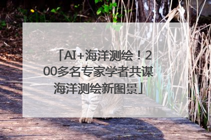 AI+海洋测绘！200多名专家学者共谋海洋测绘新图景