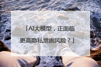 AI大模型，正面临更高隐私泄露风险？