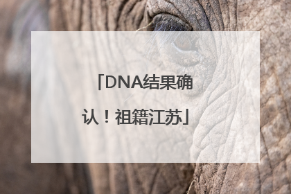DNA结果确认！祖籍江苏