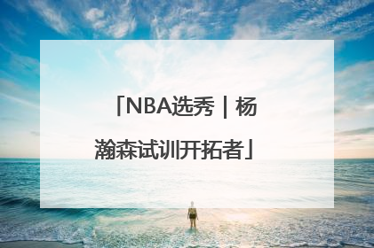 NBA选秀｜杨瀚森试训开拓者