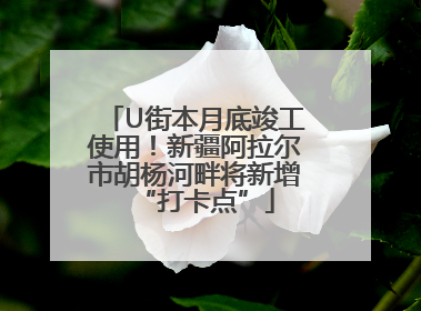 U街本月底竣工使用！新疆阿拉尔市胡杨河畔将新增“打卡点”