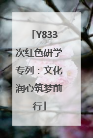 Y833次红色研学专列：文化润心筑梦前行